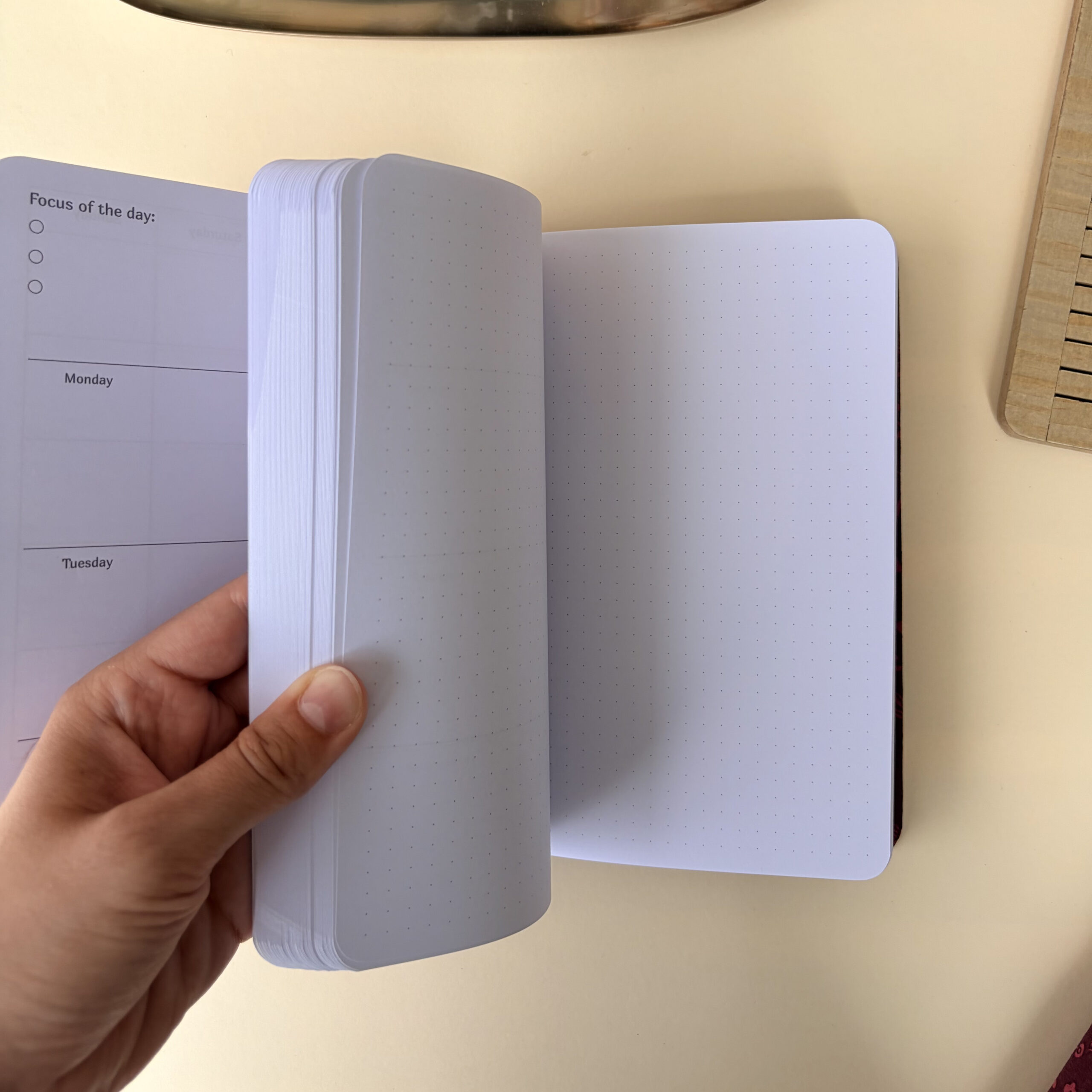 A5 MAGICAL FOREST: YEAR PLANNER - Image 9