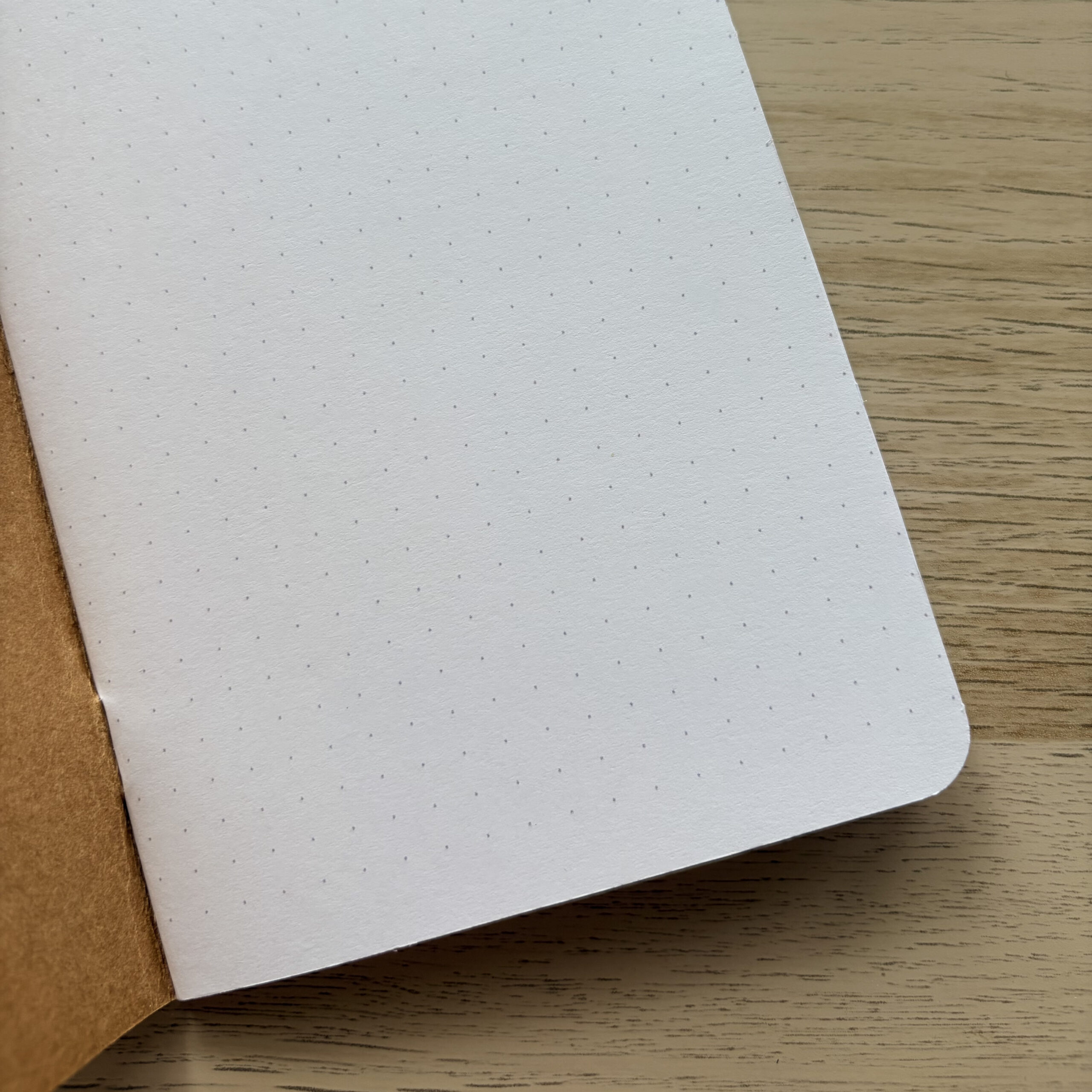 Traveler’s Notebook Insert — Dot Grid Refill - Image 3